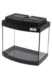 Fanus Ve Akvaryumlar