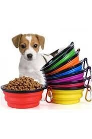 Köpek Mama ve Su Kapları