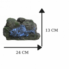 Akvaryum Dekoru Fosilli Kaya D-321