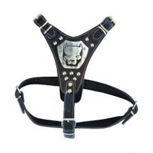 Gladyatör Deri Köpek Göğüs Tasması XL