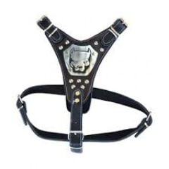 Gladyatör Deri Köpek Göğüs Tasması XL