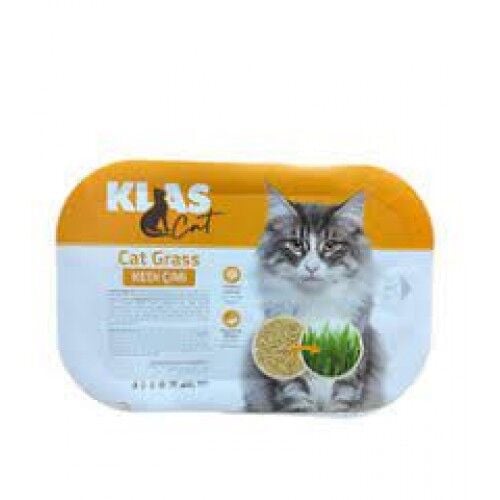 Klas Kedi Çimi %100 Organik Sindirimm Destekleyici Ve Tüy Yumağı Önleyici Çim