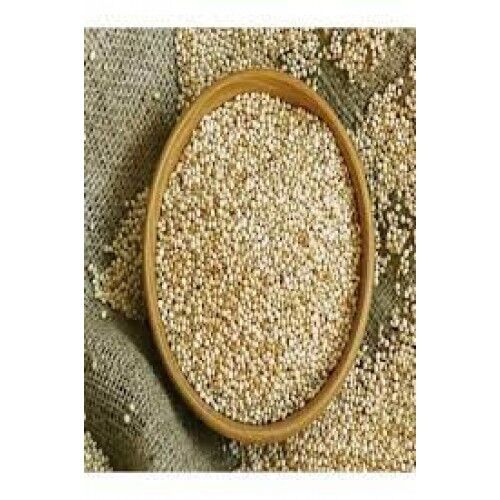 Muhabbet Kuşu Yemi  Ak Darı Çuval 25kg.