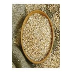 Muhabbet Kuşu Yemi  Ak Darı 1kg.