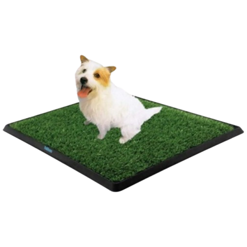 Petzoo Köpek Çiş Eğitim Tuvaleti  Küçük Boy