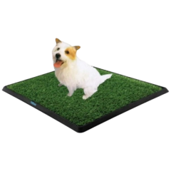 Petzoo Köpek Çiş Eğitim Tuvaleti  Küçük Boy