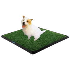 Petzoo Köpek Çiş Eğitim Tuvaleti  Küçük Boy