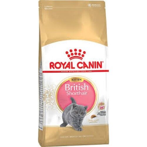 Royal Canin British Shorthair Kitten Yavru Kedi Maması 2 Kg