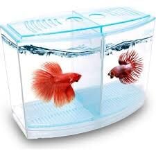 ATLANTİK Atlantik İkili Bettalık 9x19x14h 1,8L