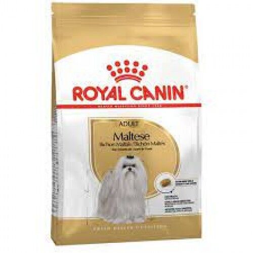 Royal Canin Maltese Terrier Adult Yetişkin Köpek Maması 1,5 Kg