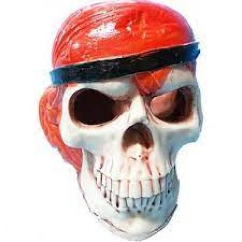 Ti-Sert Korsan Kuru Kafa Akvaryum Dekoru (D-359)