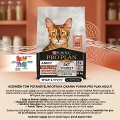 Pro Plan Vital Functions Somonlu Yetişkin Kedi Maması 10 Kg