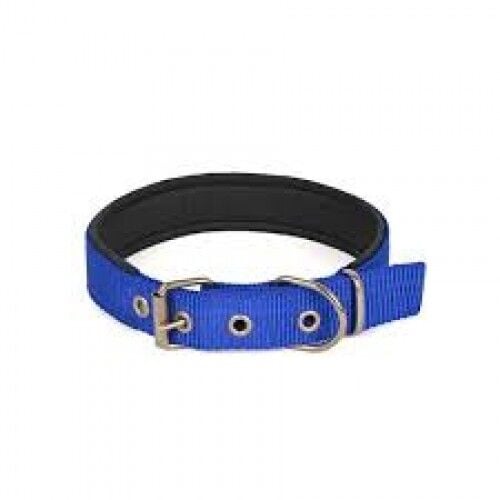 Yumuşak Dokulu Köpek Boyun Tasması Küçük Boy 2,5X55Cm