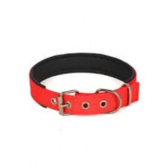 Yumuşak Dokulu Köpek Boyun Tasması Orta Boy 3X52Cm