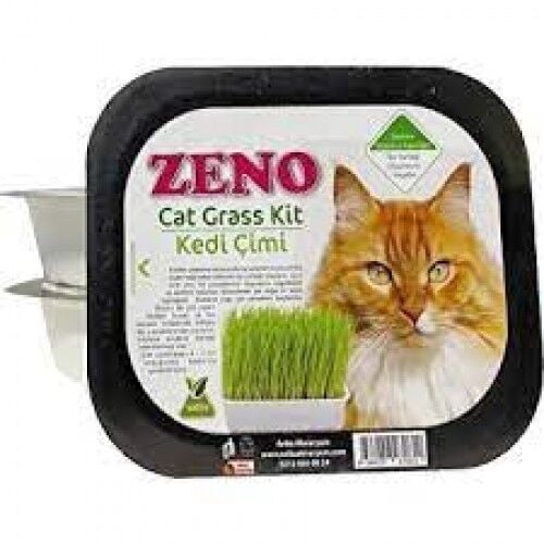 Zeno Dalong Zeno Kedi Çimi
