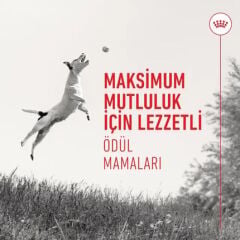 Royal Canin Eğitim Amaçlı Köpek Ödül Maması 110 g