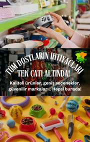 Alt Etiket